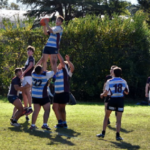 Captura de pantalla 2019-06-13 08.50.01