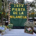 WhatsApp Image 2025-01-06 at 20.10.48